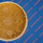 фасованный пигмент желтый 313, пигмент желтый 313 в пластиковой таре, фасованный неорганический пигмент желтый 313, фасованный железооксидный пигмент желтый 313, фасованный пигмент желтый 313 для тротуарной плитки купить