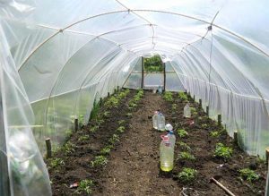 1081 Стеклопластиковая арматура 14мм ; ACK14; тип-Р — изображение 8