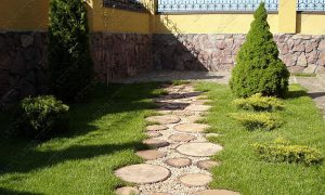 2.147. Форма "«Древесный срез малый-22" — изображение 6