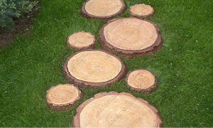 2.147. Форма "«Древесный срез малый-22" — изображение 7