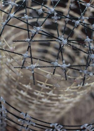 022.1 Строительная сетка базальтовая арматурная ROCKMESH-(50х50) в картах — изображение 5