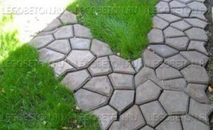 2.001. Форма "САДОВАЯ ДОРОЖКА(большая)" [93/2] — изображение 5